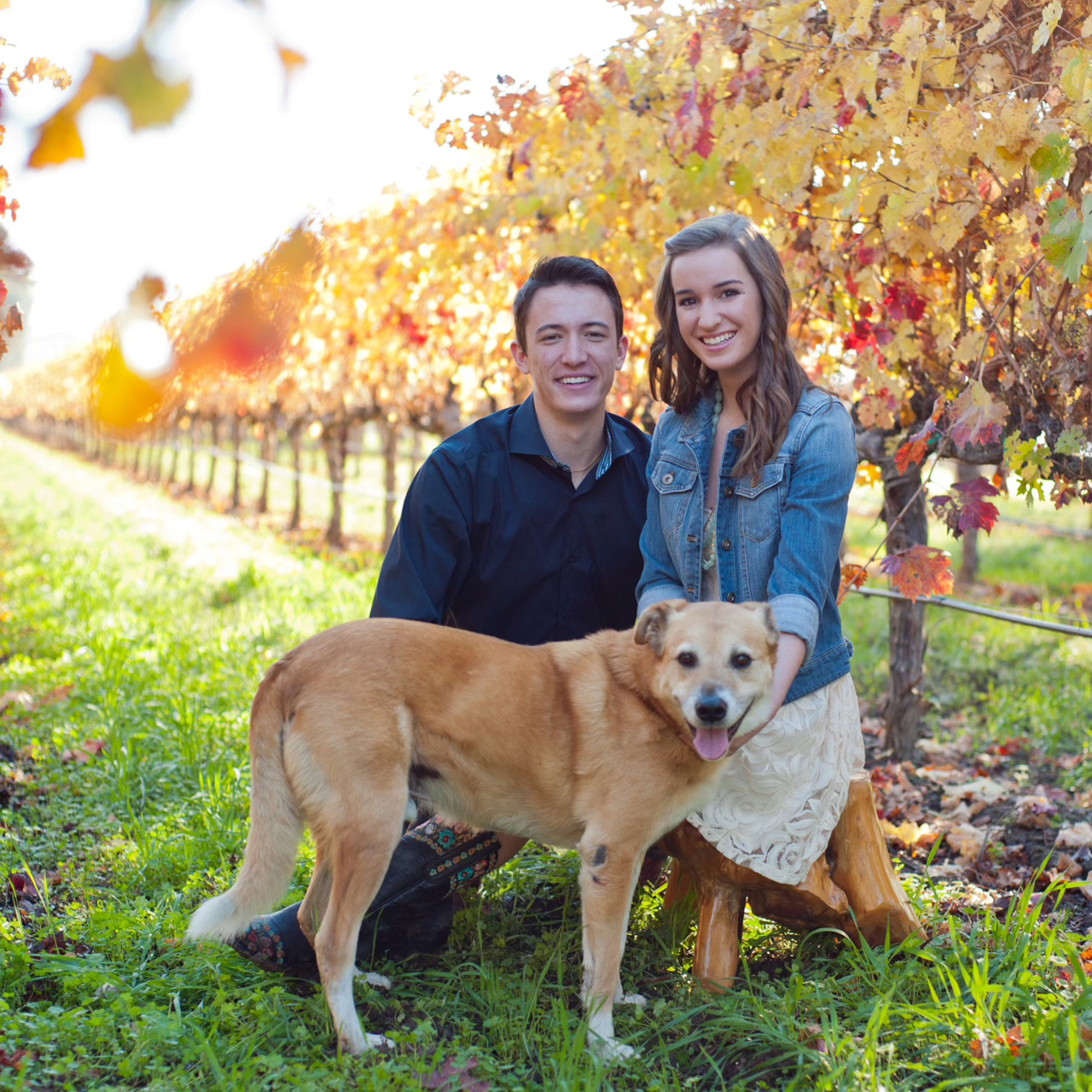 Family in vineyard